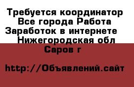 Требуется координатор - Все города Работа » Заработок в интернете   . Нижегородская обл.,Саров г.